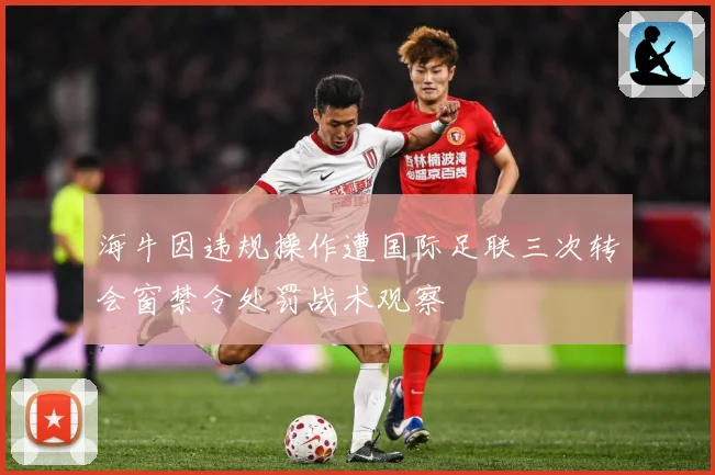 海牛因违规操作遭国际足联三次转会窗禁令处罚战术观察